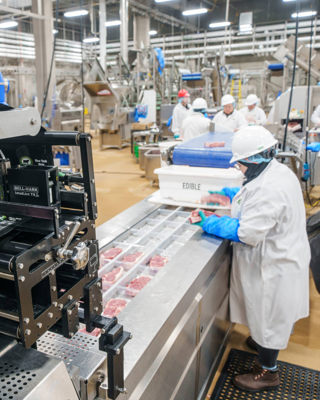 Riverbend Meats Processing Plant